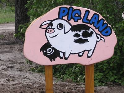 Pig Land