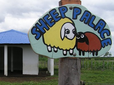 Sheep Palace